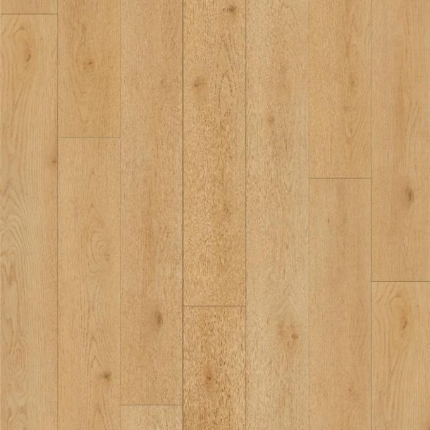 KW88212L-003 Mockup