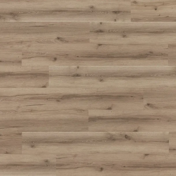 Salinas — Modigliani Maxi 150 parquet